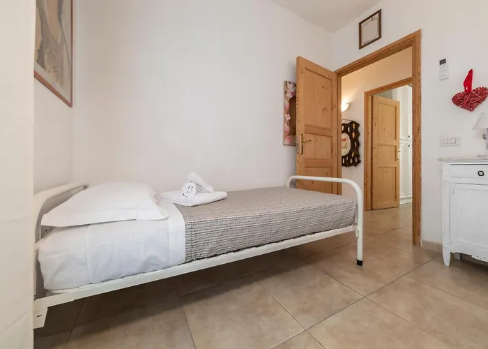 Ng Collection Krima オルビア